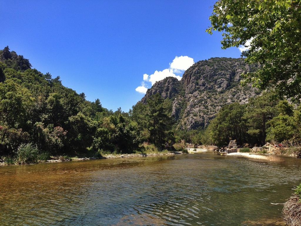Kadir'S Top Tree Houses Olympos Exterior photo