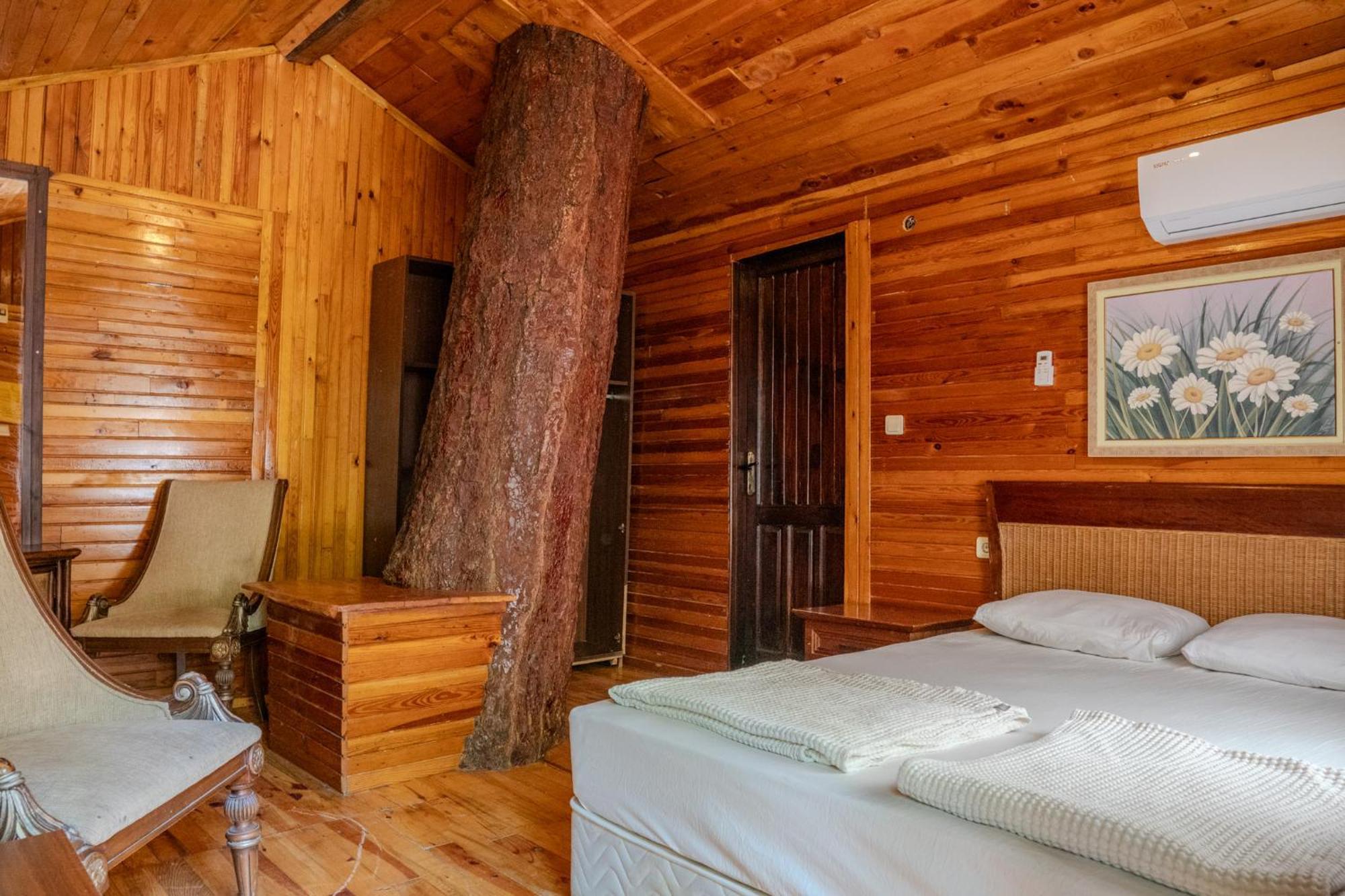 Kadir'S Top Tree Houses Olympos Exterior photo