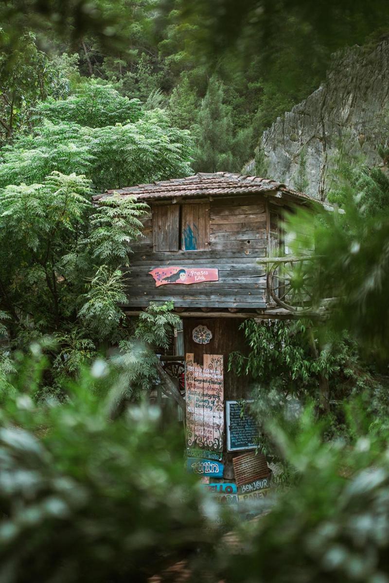 Kadir'S Top Tree Houses Olympos Exterior photo