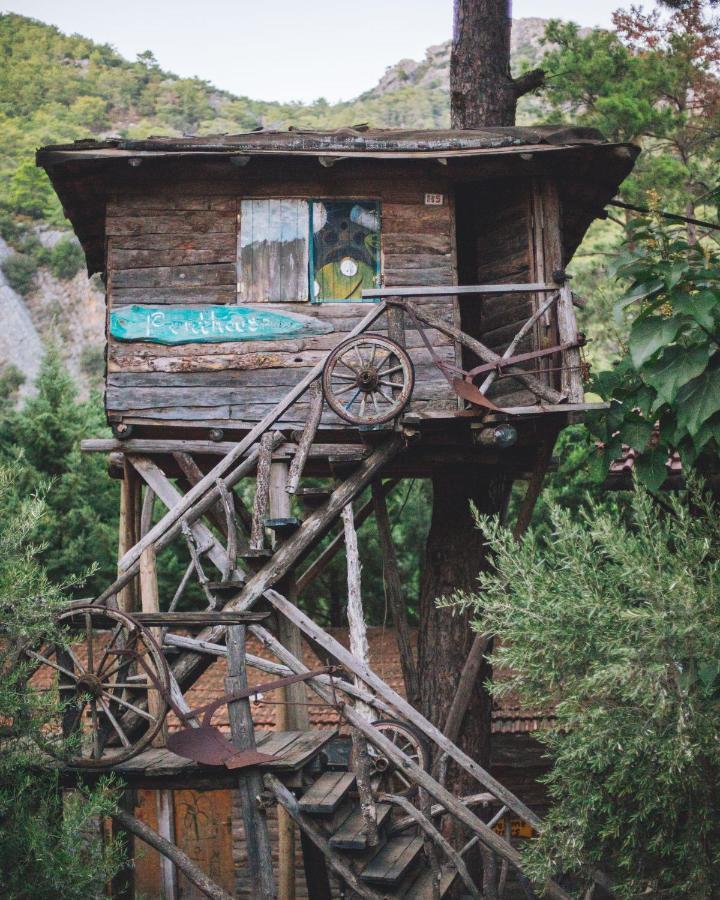 Kadir'S Top Tree Houses Olympos Exterior photo
