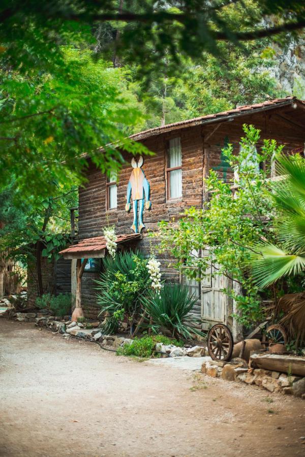 Kadir'S Top Tree Houses Olympos Exterior photo