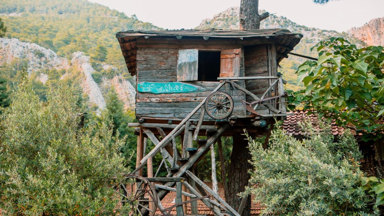 Kadir'S Top Tree Houses Olympos Exterior photo